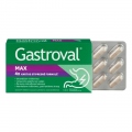Gastroval Max